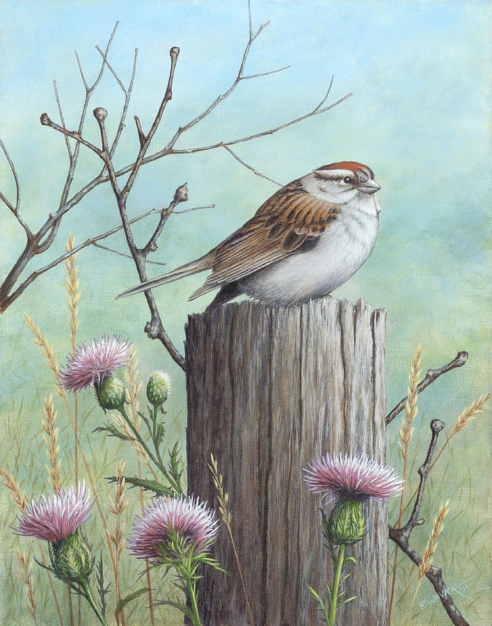 Sparrow Painting - Chipping Sparrow on a Fence Post by Robert Wavra