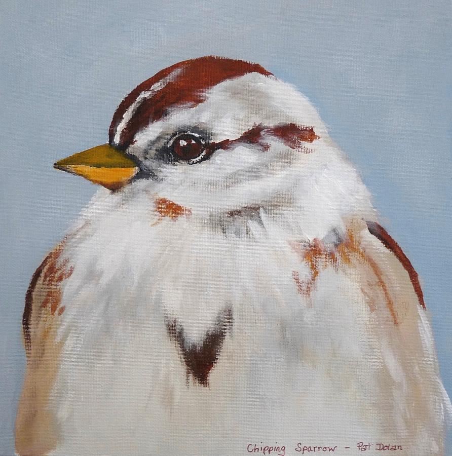 Chipping Sparrow Painting by Pat Dolan