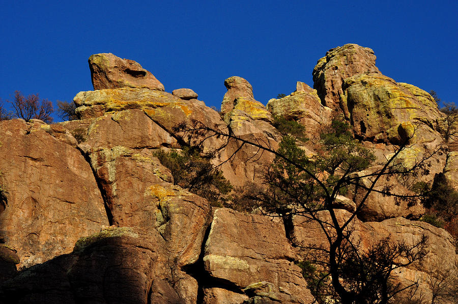 Chiricahua Mountains Arizona Photograph by Diane Lent