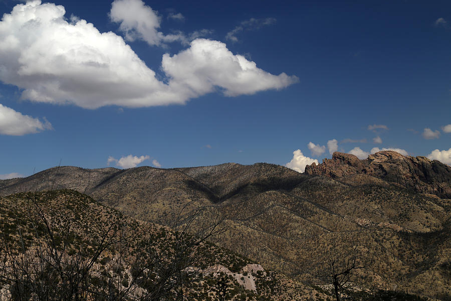 Chiricahua Nat Monument Landscape 2 Photograph by Mary Bedy
