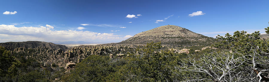 Chiricahua Nat Monument Panorama Photograph by Mary Bedy