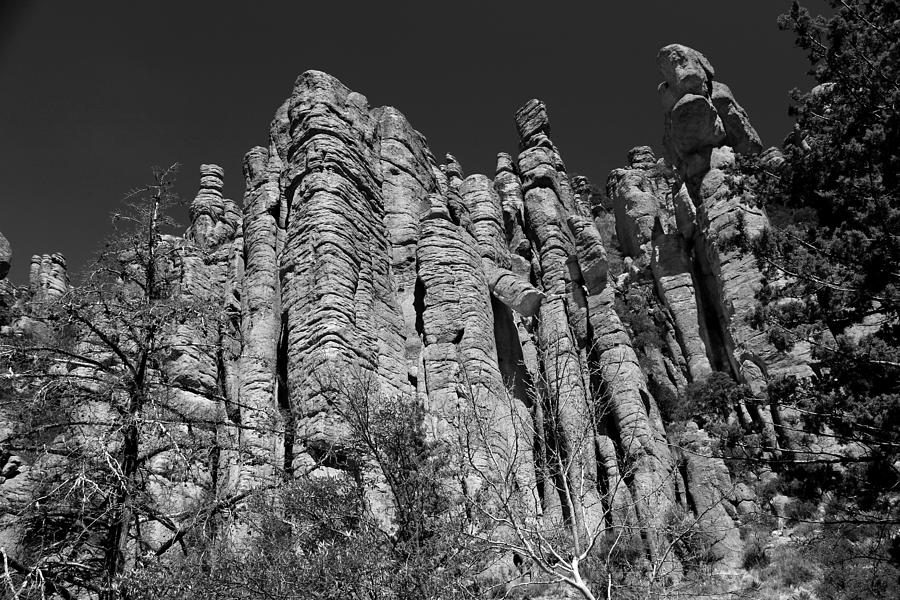 Chiricahua Nat Monument Tuft 2 BW Photograph by Mary Bedy