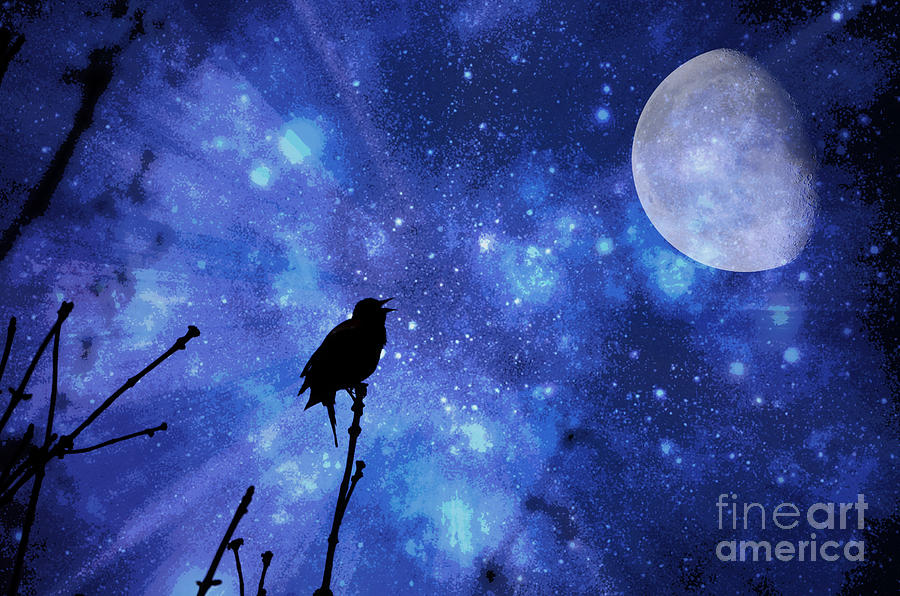 Bird Photograph - Chirping at the Moon  by Lila Fisher-Wenzel