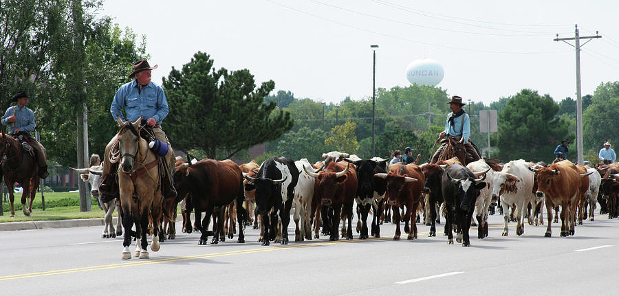 Chisholm Trail Cattle Drive 2007 Photograph by Toni Hopper