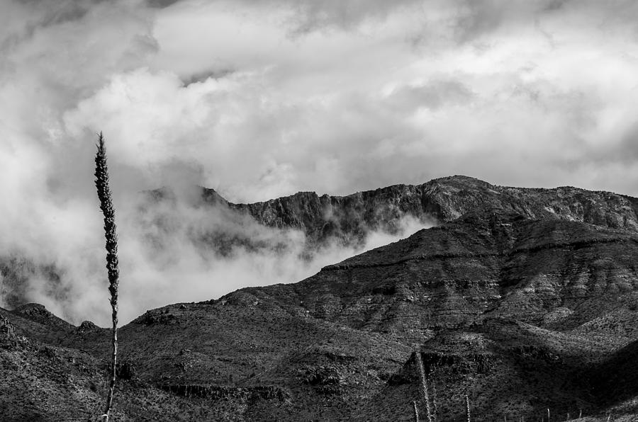 Mountain Photograph - Chisos Mountains by Bob Marquis