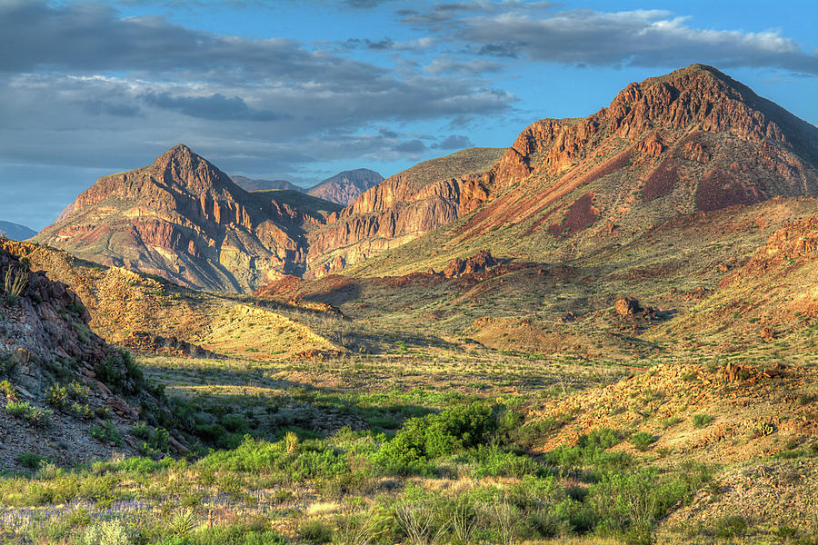 Big Bend National Park Photograph - Chisos Mountains of West Texas by Richard Leighton