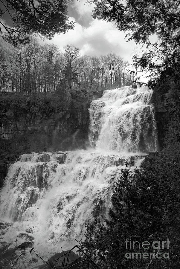 Chittenango Waterfall in Black and White Rural / Rustic Landscape Photo Photograph by PIPA Fine Art - Simply Solid