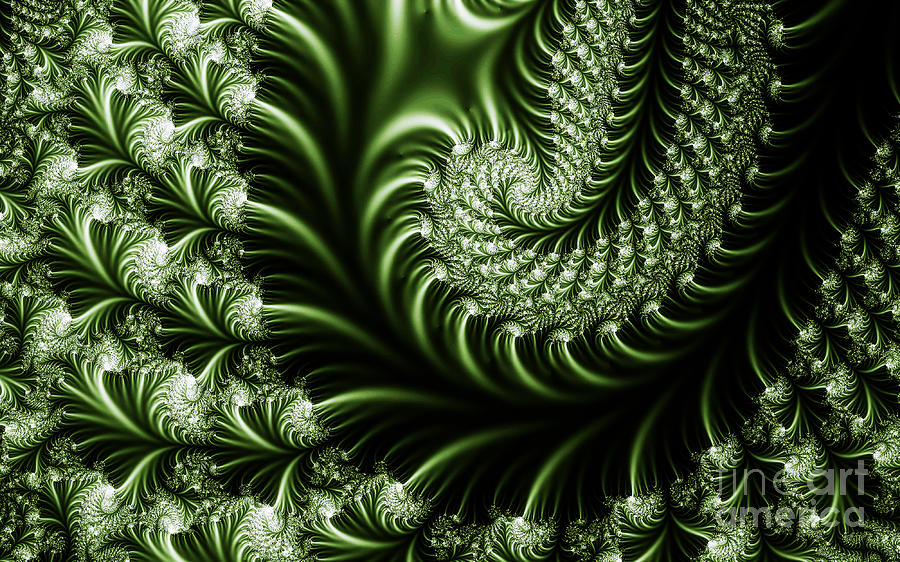 Chlorophyll Digital Art by Clayton Bruster