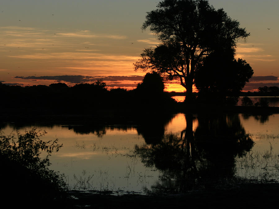 Chobe River Sunset Photograph by Karen Zuk Rosenblatt