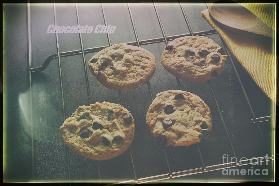 Chocolate Chip Photograph by Jimmy Ostgard