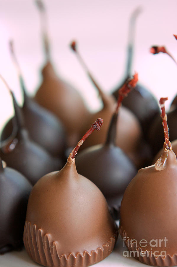 Candy Photograph - Chocolate Covered Cherries by Kim Fearheiley