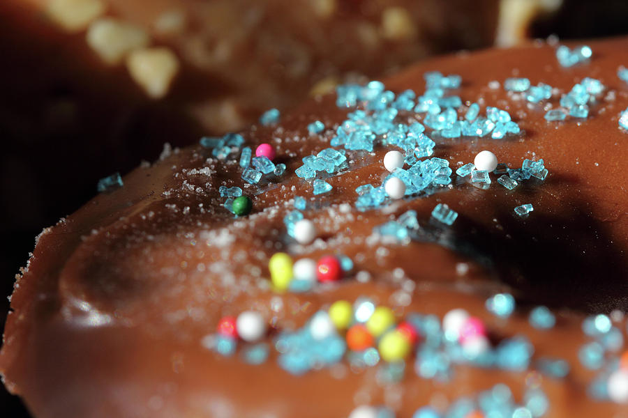 Chocolate Donut Photograph by Angela Murdock