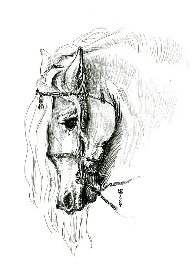 Horse sketch art Drawing by bm bundi