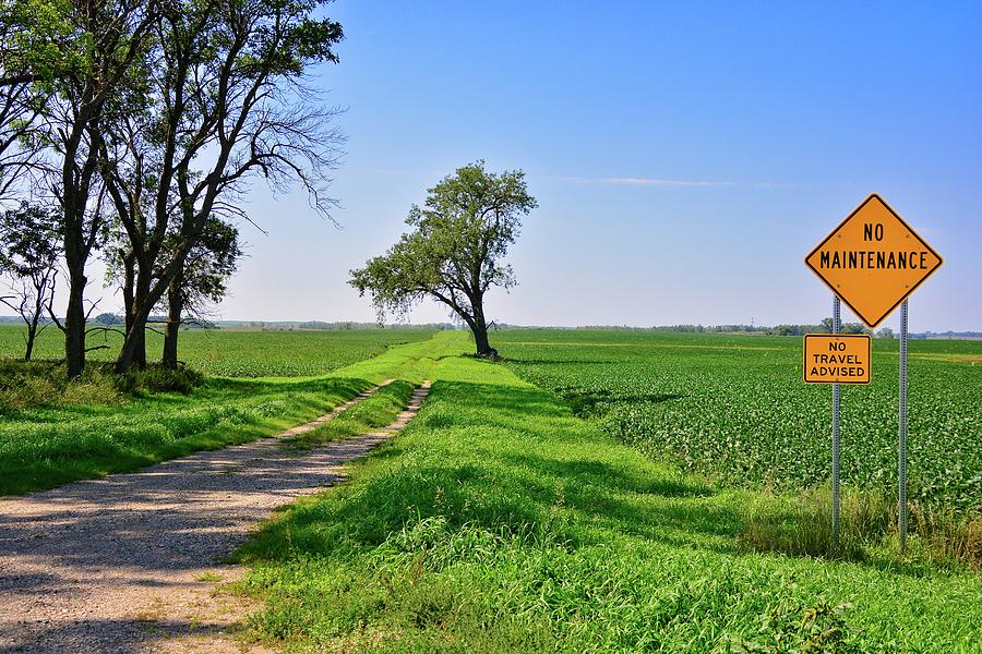 Choose The Right Path Photograph By M Dale - Fine Art America