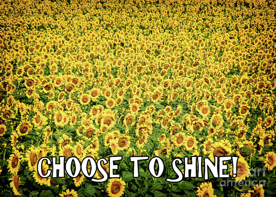 Choose To Shine Photograph by Janice Pariza