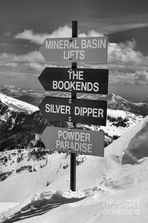 Choose Your Own Snowbird Adventure Black And White Photograph by Adam Jewell