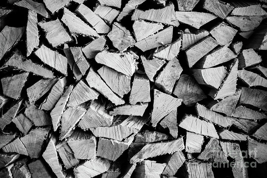 Chopped Wood Photograph by Colleen Kammerer
