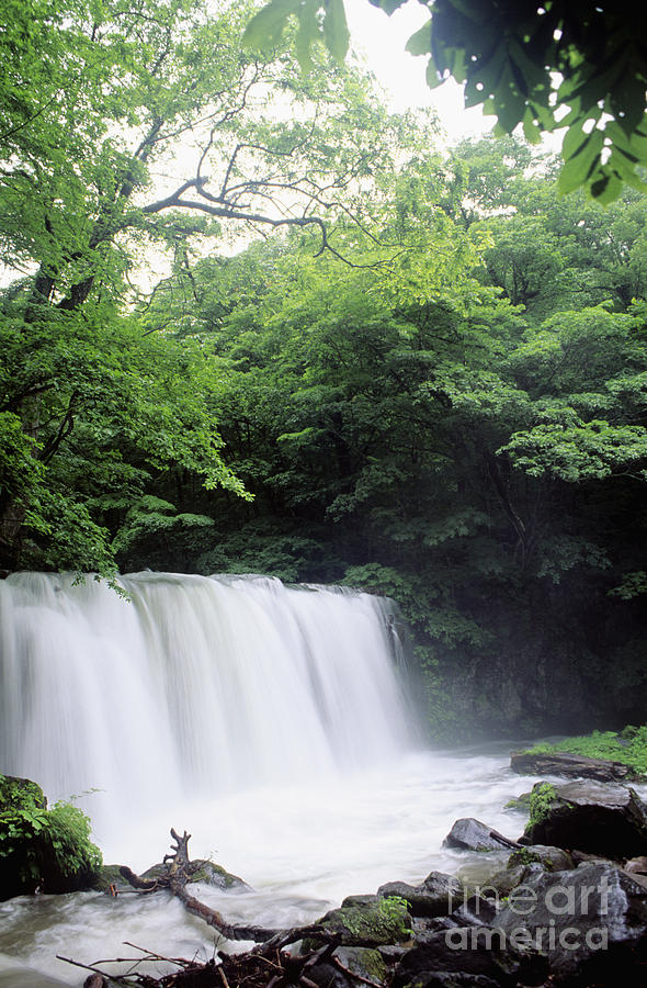Cool Photograph - Chosi Otaki Falls by Rita Ariyoshi - Printscapes