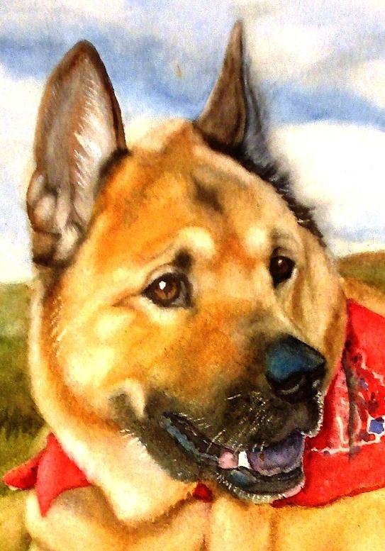 Chow Shepherd mix Painting by Marilyn Jacobson