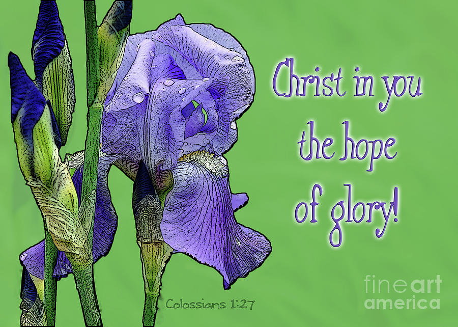 Christ In You The Hope Of Glory Photograph