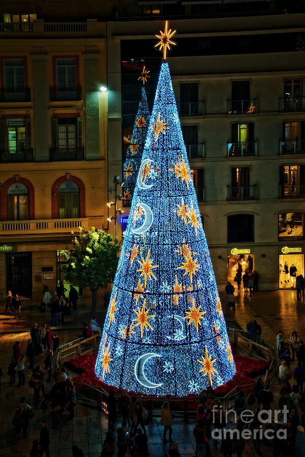 Christmas in Malaga Photograph by Mary Machare