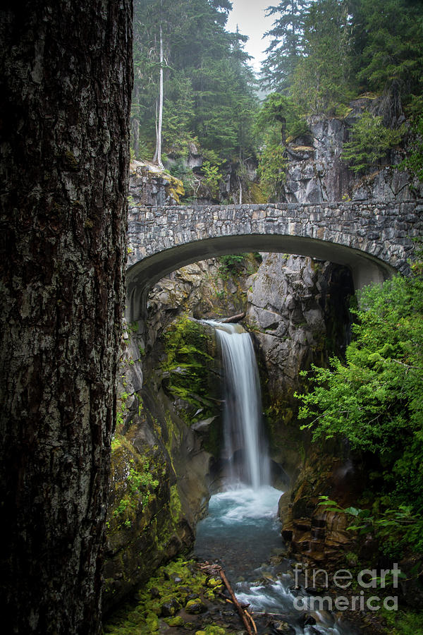 Christine Falls, Mount Rainier National Park Photograph by Deborah Klubertanz