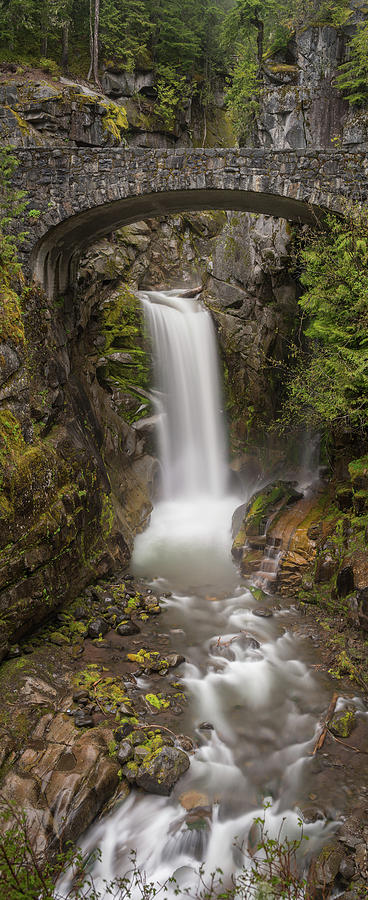 Christine Falls Mt Rainier Washington Photograph by Steve Gadomski