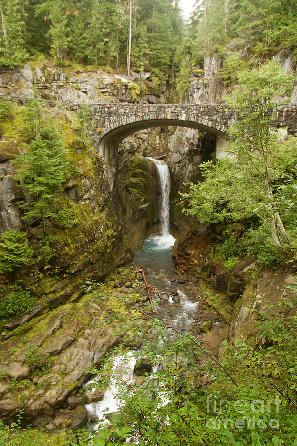 Mount Rainier National Park Photograph - Christine Falls by Sean Griffin