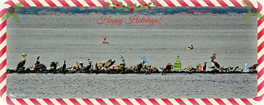 Christmas along the Gulf Photograph by Denise Winship