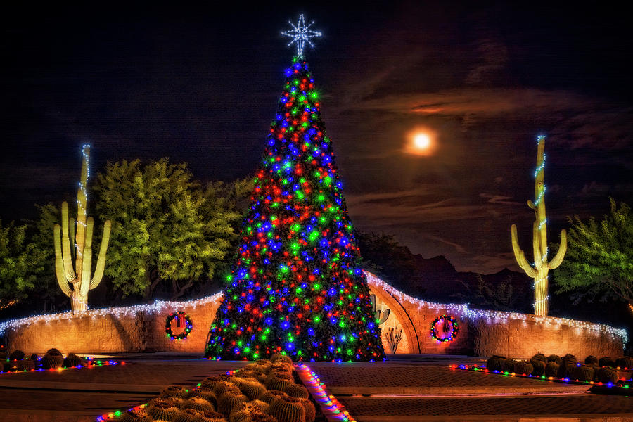 Christmas Arizona Style  Photograph by Saija Lehtonen