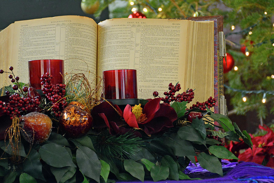 Christmas Arrangement Apocrypha Photograph by Bruce Gourley
