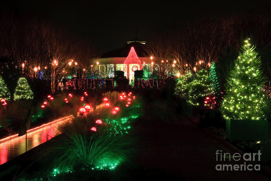 Christmas at Daniel Stowe Gardens Photograph by Jill Lang