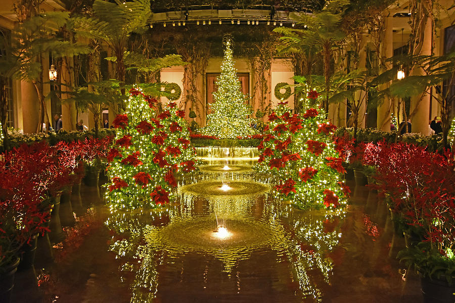 Christmas At Longwood Gardens  Photograph by Dan Myers