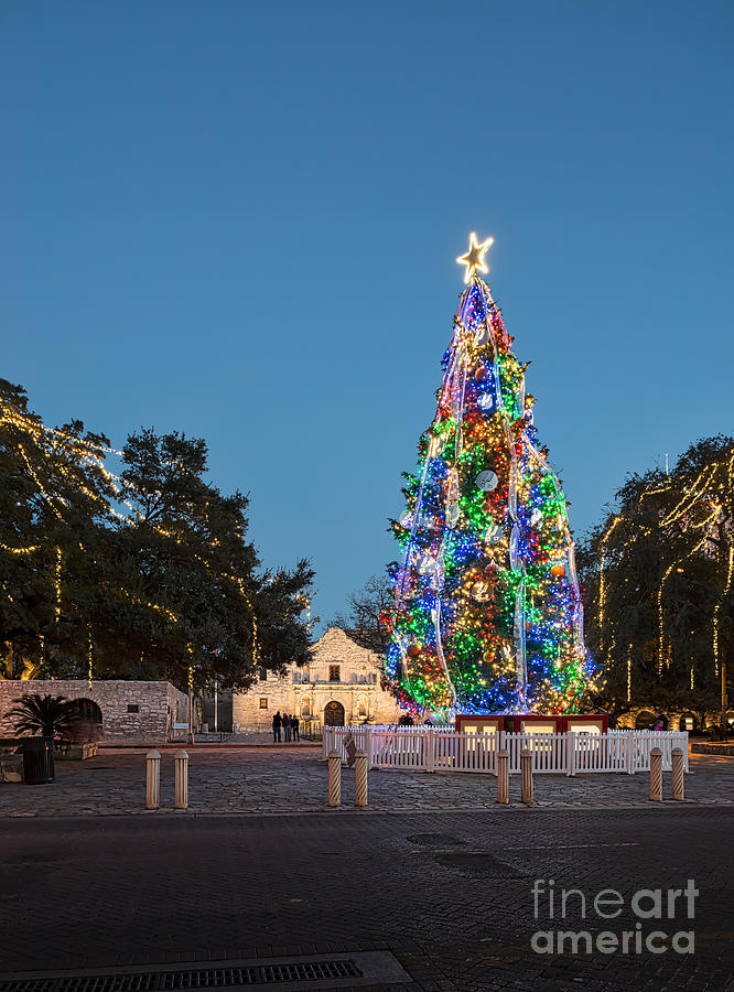 Christmas at the Alamo Photograph by Bee Creek Photography - Tod and ...