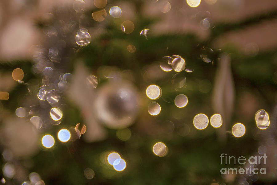 Christmas twinkles Photograph by Patricia Hofmeester