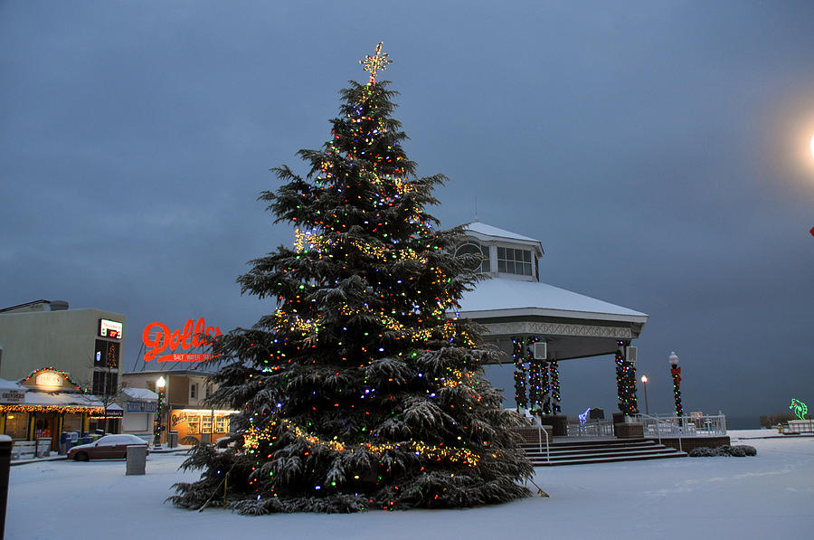 Christmas Bandshell At Rehoboth Beach Photograph by See Me Beautiful Photography