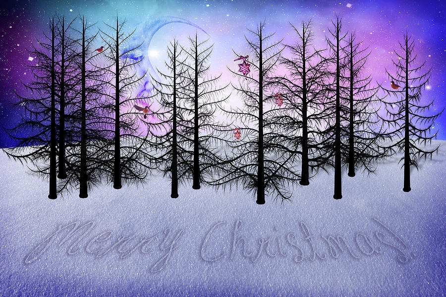 Christmas bare trees Digital Art by Mihaela Pater