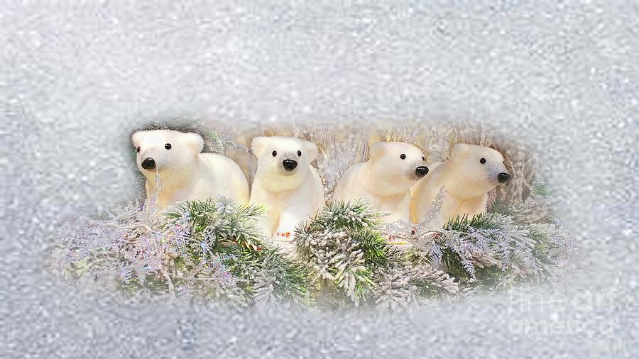 Christmas Bears Photograph by Geraldine DeBoer