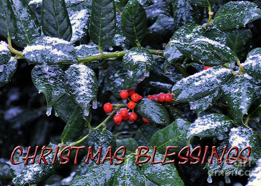 Christmas Blessings No.2 Photograph by Lydia Holly