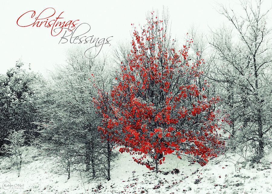 Fall Photograph - Christmas Blessings by Robert ONeil