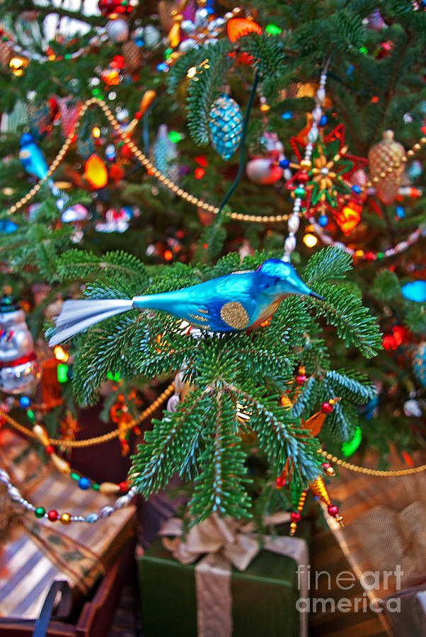 Christmas Photograph - Christmas Bling #3 by Rich Walter