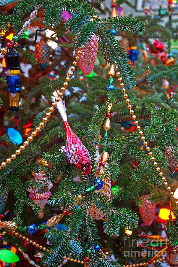 Christmas Photograph - Christmas Bling #5 by Rich Walter
