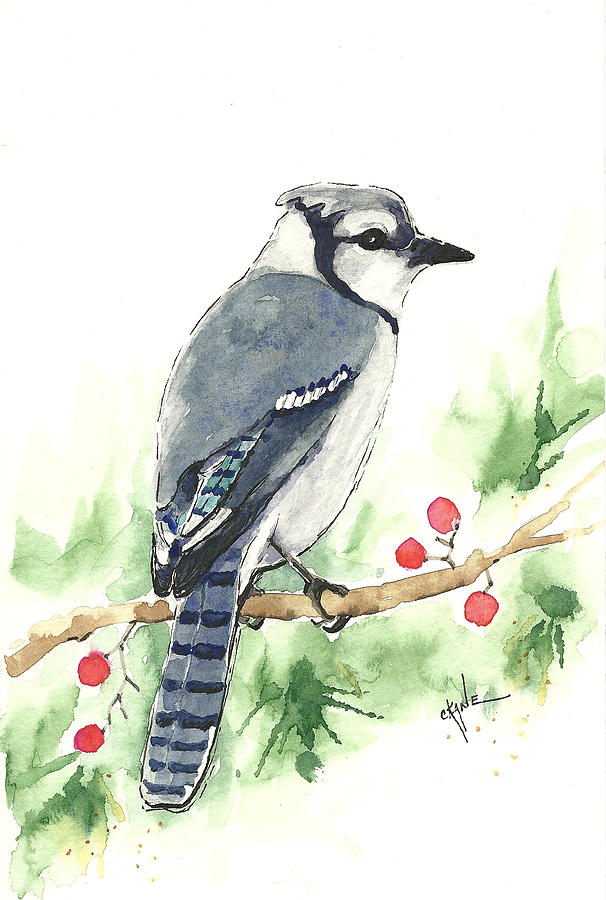 Christmas Blue Jay Painting by Christine Camp