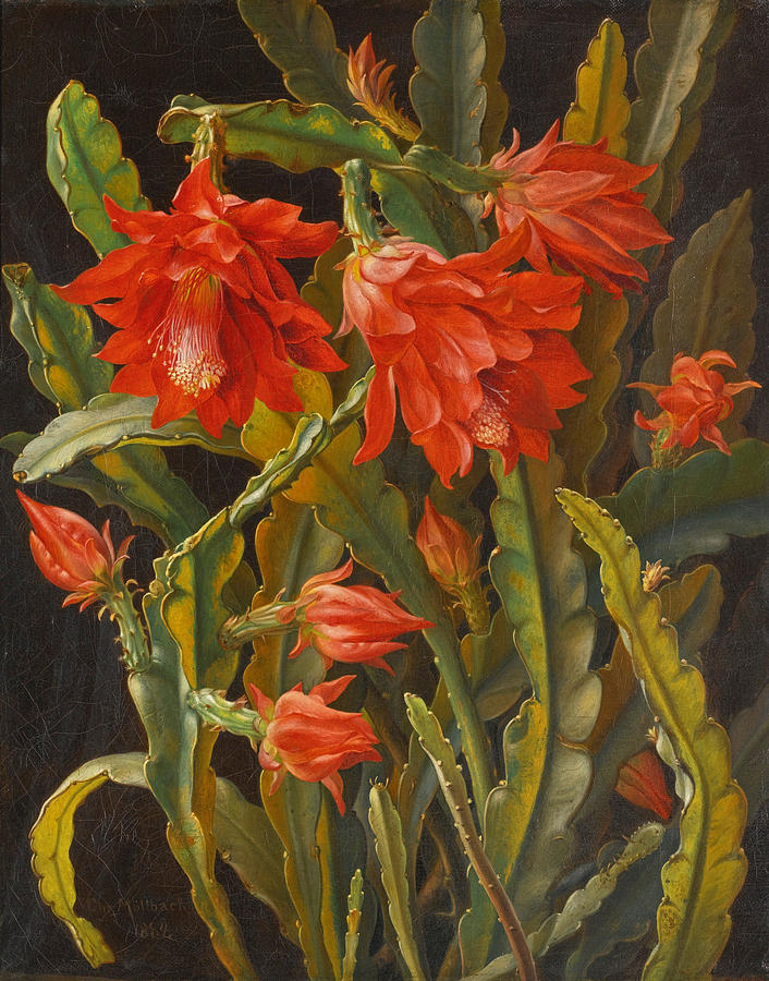 Christmas Cactus Painting by Christian Mollback - Fine Art America