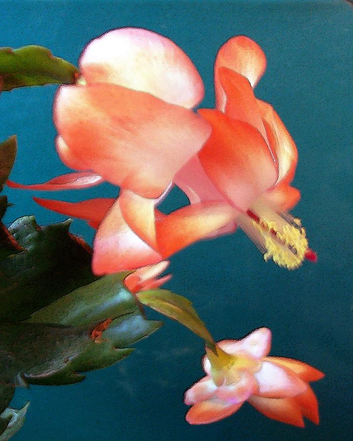 Christmas Cactus by Deleas Kilgore Christmas Cactus by Deleas Kilgore