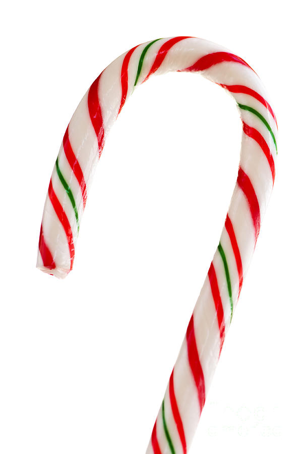Candy Photograph - Christmas candy cane by Elena Elisseeva