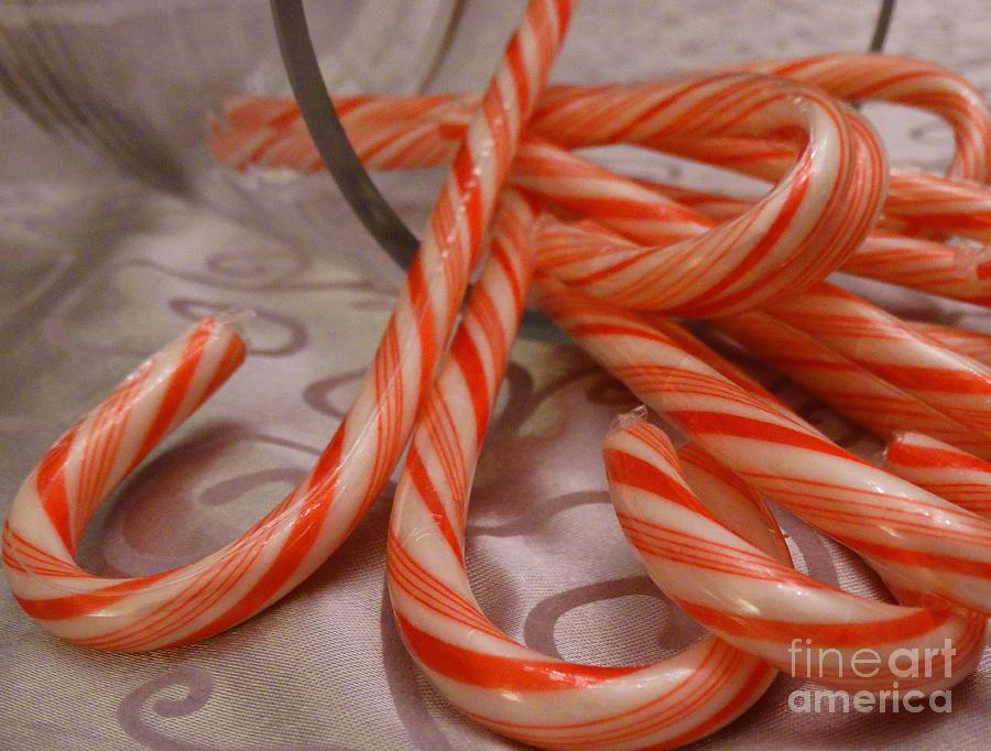 Christmas Candy Canes Photograph