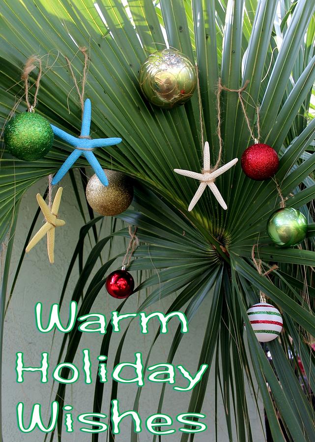 Warm Holiday Wishes Photograph by Robert Wilder Jr