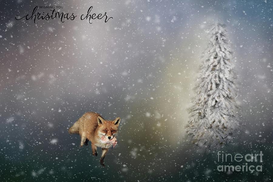 Christmas Card Photograph by Eva Lechner