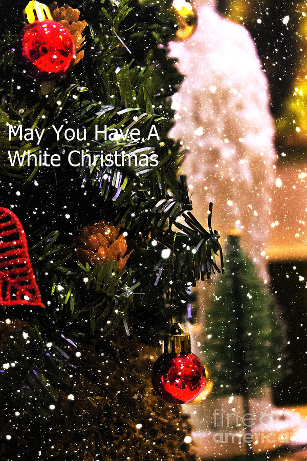 Christmas Card - May You Have A White Christmas Photograph by Al Bourassa